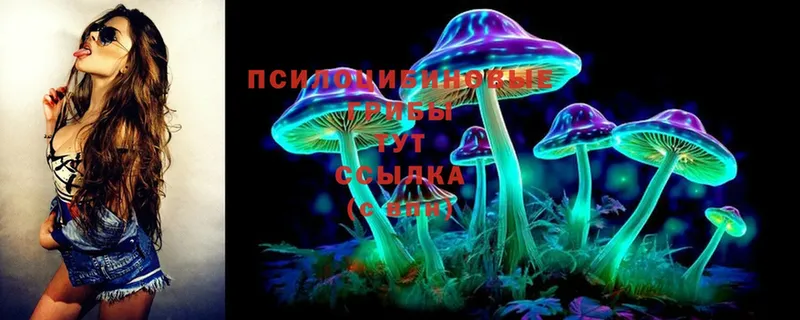 Псилоцибиновые грибы Cubensis  Бавлы 